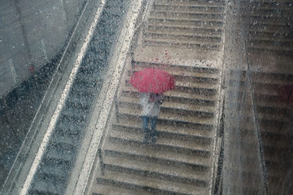 Workshop Straatfotografie Saul Leiter Thema (limited edition) - Afbeelding 2